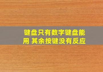 键盘只有数字键盘能用 其余按键没有反应